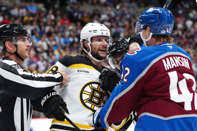 Bruins