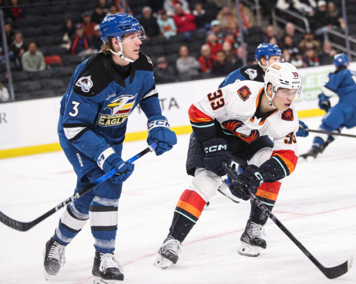 Eagles burn Firebirds in the desert.