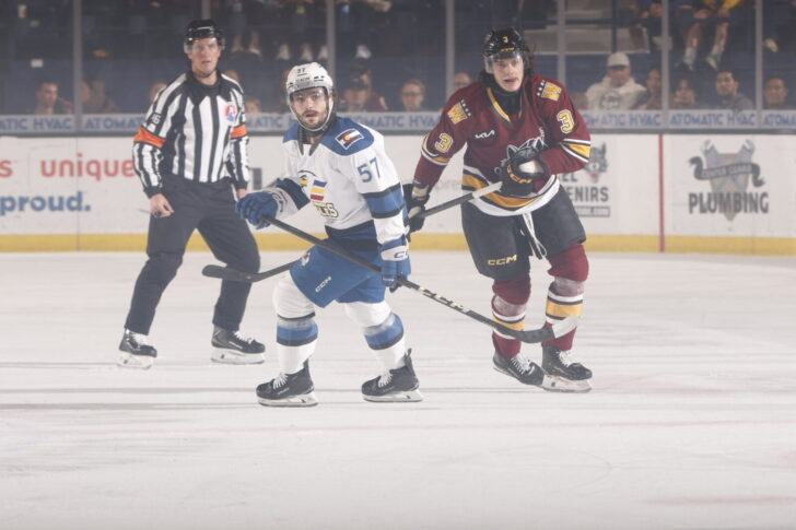 Tristen Nielsen and Wolves defenseman Dominik Badinka. Game 4 of AHL WCF.